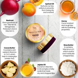 tnw - the natural wash Lip Balm with SPF 15 & Shea Butter|For Dark & Chapped Lips BEETROOT image 3