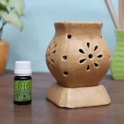 Citrus Diffuser Set-32