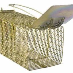 Live Rat Trap Iron Cage/Catcher/Chuhadaani Live Trap-image-19