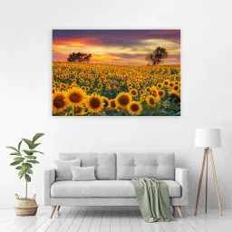 91 cm Sunflower-farm-field-yellow-flowers-beautiful-sunset (Posters-36Inch X 24Inch) Self Adhesive Sticker-image-30