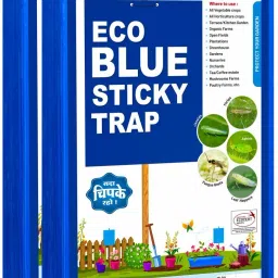 ECO Blue Sticky Trap For Garden and Farm, To control Thrips, Aphids, Leaf Miner.-image-29