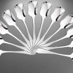 Stainless Steel Cutlery Set-17