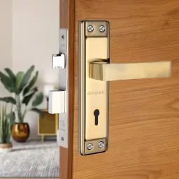 Brass, Steel, Iron Chrome Door levers-picture-15