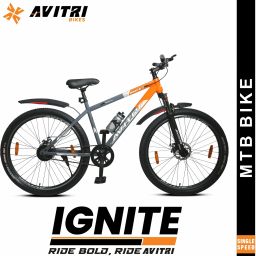 Ignite 29 Grey/Orange 29 T (inch) Mountain Cycle-44