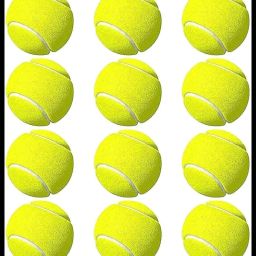 New-JS _180Pack of 6 Tennis Ball-image-51