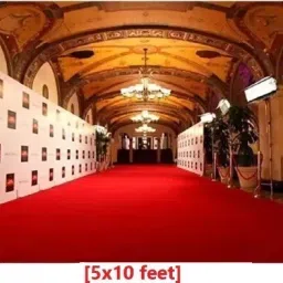 Red Synthetic Carpet-picture-16