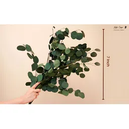 Artecasa Dried Flower Million Dollar Eucalyptus-28