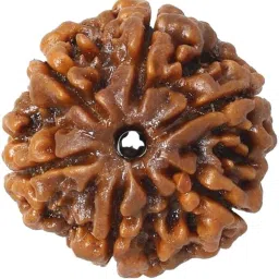 Original & Natural Six Face/6 Mukhi Brown Nepali Rudraksha For Men & Women Beads Wood Pendant-image-28