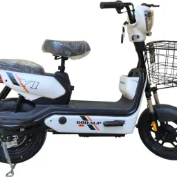 Y1-WHITE 10 inches Single Speed Lead-acid (SLA) Electric Cycle-image-36