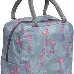 Lunch Bag Portable Insulated Travel Tiffin Bag Thermal Insulated Cooler Waterproof Lunch Bag-image-80