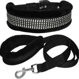 Dog Belt Combo Fur Padded Nylon Dog Collar & Leash Set For Small Dogs & Puppy Dog Collar & Leash-23
