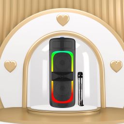 SACRO Bluetooth Party Speaker With Karaoke Mic and RGB Lights,High Quality Woofer F281 40 W Bluetooth Laptop/Desktop Speaker-image-58