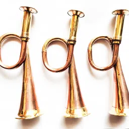 Alto Bugle-picture-0