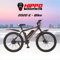 2020 Electric Bike 26T 26 inches Single Speed Lithium-ion (Li-ion) Electric Cycle-25