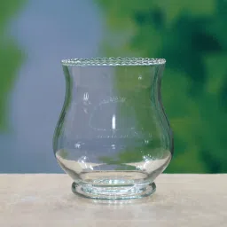 GLASS DECORATIVE BELL JAR Glass Vase-22