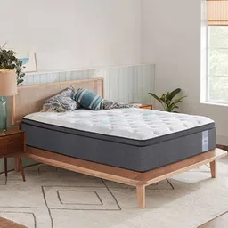 springtek Euro Top Hybrid Latex Queen Size Spring Mattress-picture-7