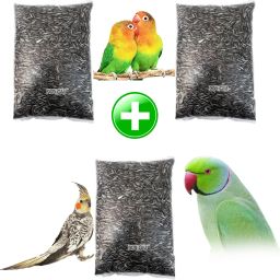 Small size Strip Sunflower seeds 3 pack 2.7 kg Dry New Born, Young, Adult Bird Food-picture-24