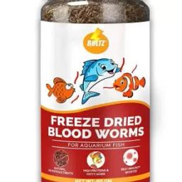 Freeze Dried Blood Worms Fish Food 50 Grams 0.05 kg Dry Adult Fish Food 0.05 kg Dry New Born Fish Food-image-17