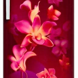 180 L Direct Cool Single Door 2 Star Refrigerator-image-60