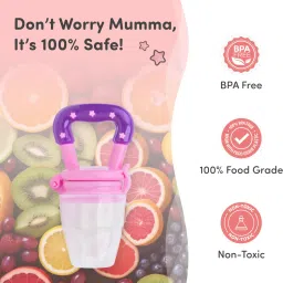 baby fruit feeder / nibbler 1 Pcs A77 Feeder-25