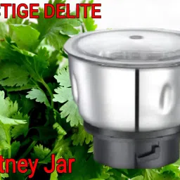 DELITE CHUTNEY JAR Mixer Juicer Jar-image-34