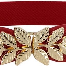 Women Casual, Evening, Formal, Party Maroon Fabric Belt-image-101