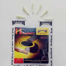 Acoustic HEXAKARUNAA STRING SET AND 6 PN Guitar String-picture-9
