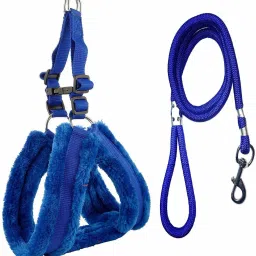 Combo of Adjustable Dog Harness Chest Belt and Leash for Small Dog Harness & Leash-image-3