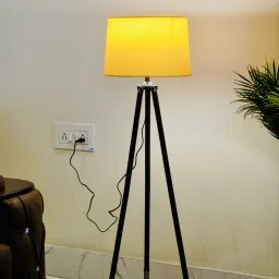 Tripod Floor lamp-19