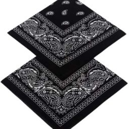 Men Printed Bandana-image-31