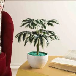 Multicolour Polyester and Plastic Artificial Plants By Foliyaj-picture-48
