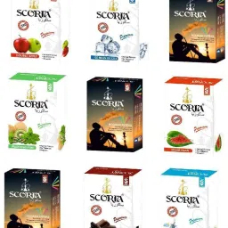 blank DOUBLE APPLE, BRAIN FREEZER, PAAN KIWI MINT, KESAR PAAN, CHCOLATE, DUBAI SPECIAL Hookah Flavor-picture-14