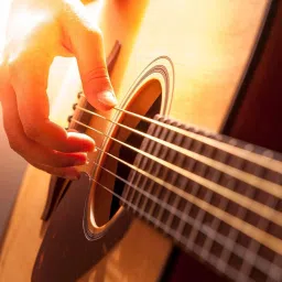 mocking bird Acoustic Guitar Strings Stainless Steel String Full set of 6 String with Picks Guitar String image 5
