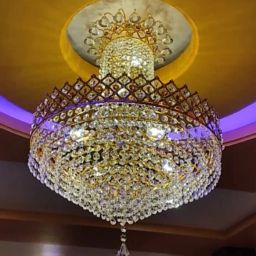 55_105 Chandelier Ceiling Lamp-image-15