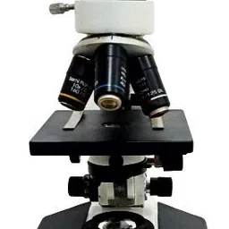 labcare Monocular Light Microscope 1000X-picture-11