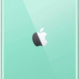 Dnvi APPLE IPHONE 11 Back Panel-31