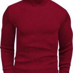Men Self Design Turtle Neck Red Sweater-image-81