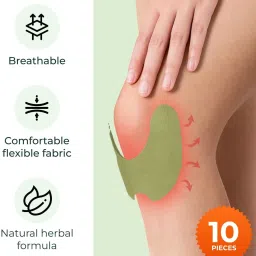 Pain Relief patch 10 Pcs Satin Varnish-24