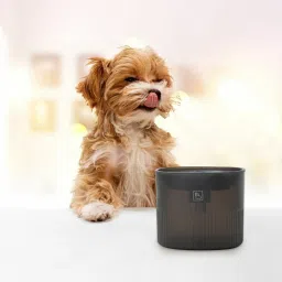 Pet Fountain for Cats and Dogs Ultra Silent Operation with Charcoal Filter-image-39