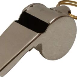 Brass Whistle - Sports Police Professional Whistle (2998) Tin Whistle-image-60