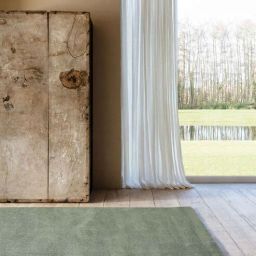 ddecor Green Solid Polyester 5 ft x 7 ft Machine Made Carpet-picture-25