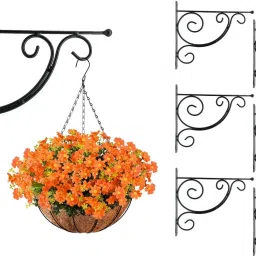 High Quality Vines design Wall Mounted Shelf Bracket (Set of 6 Pcs) 31.5 Cm Shelf Bracket-3