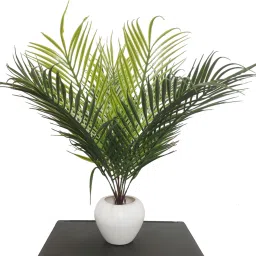 9 Leaves Areca Palm Indoor Plant for Home/Shop/Office Decor/Gifting Artificial Plantwith Pot-image-62