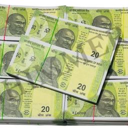 Fake ₹20 Notes for Props (500 Pcs) – Stage Drama, School Project, Fun Display Use Only Fake currency, Dummy Notes, Fake Notes Fidget Toy Gag Toy-image-65