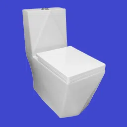 One Piece Western Toilet Water Closet EWC S Trap Distance 225mm Diamond Western Commode-13
