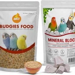 Bird Food for Budgies - Mix Seeds 1.2 KG +250 Gm 1.4 kg Dry Adult Bird Food-image-40