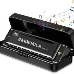 Harmonica Mouth Organ Musical Instrument-image-36
