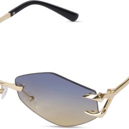 Gradient Cat-eye Sunglasses (60)-image-26