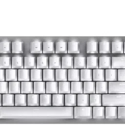 Razer BlackWidow Lite (Orange Switch) RZ03-02640700-R3M1 - Silent Mechanical Wired USB Standard Gaming Keyboard Compatible with Desktop, Laptop, Mac-picture-17