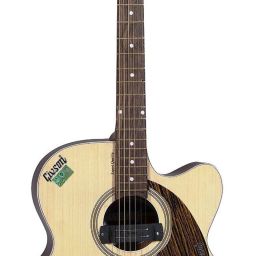 22 Semi-acoustic Guitar Rosewood Rosewood Right Hand Orientation-11